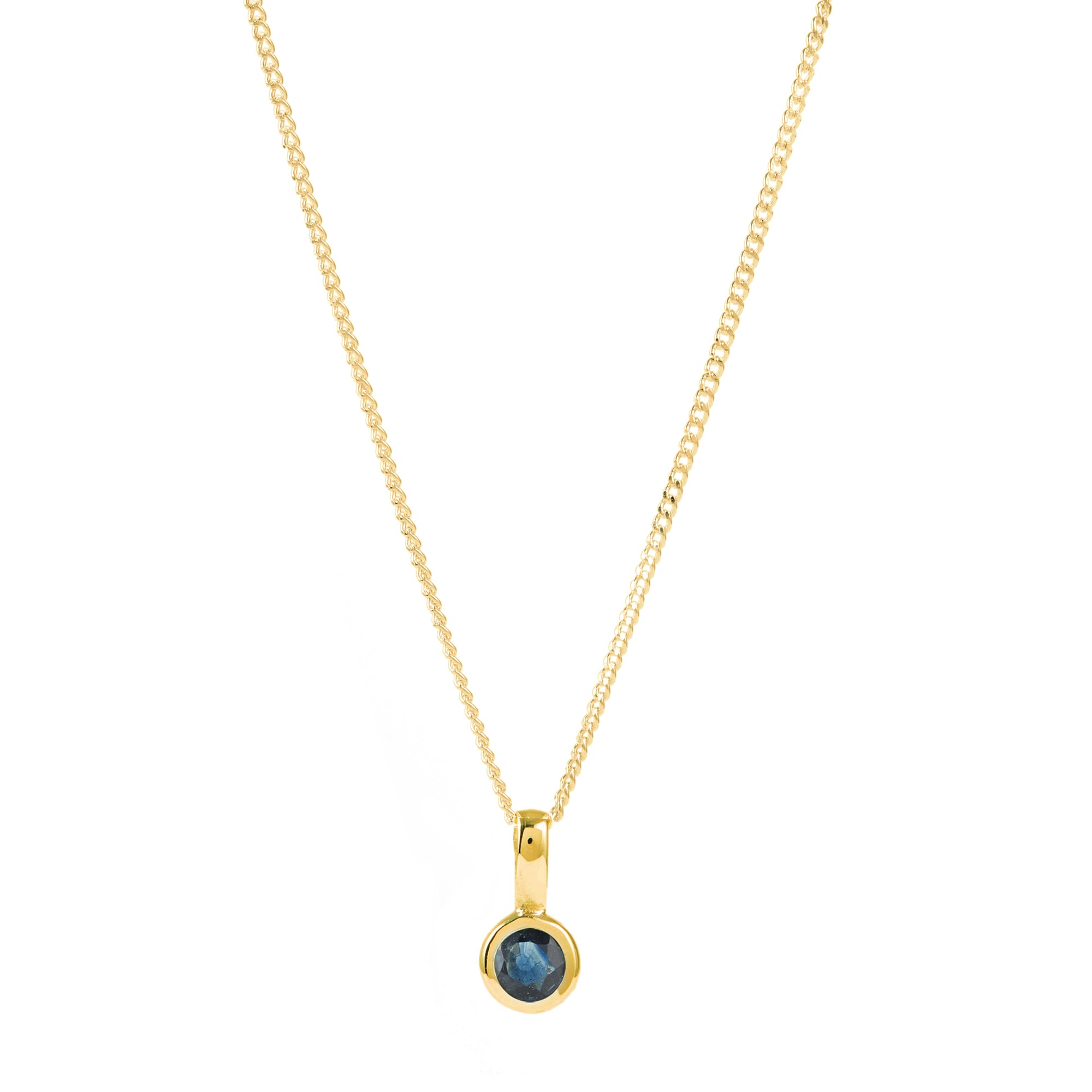 September Birthstone Charm Necklace - Sapphire