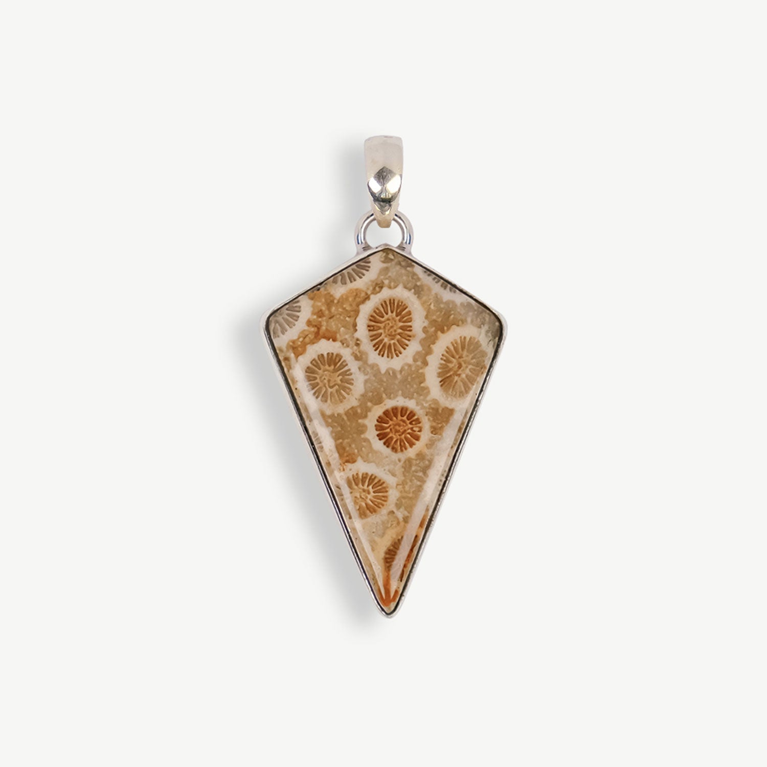 Fossil Coral Pendant