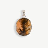 Scinic Denderite Round Pendant, Round Scinic Denderite Pendant
