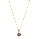 Amethyst February Charm Necklace