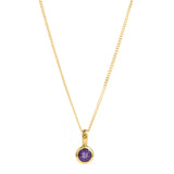Amethyst February Charm Necklace